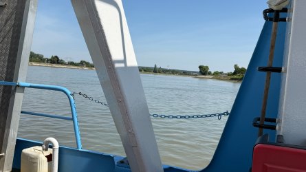IMG_0203.JPEG