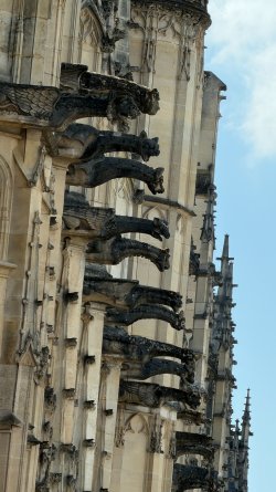 IMG_0245.JPEG