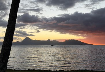 IMG_2528.JPG IMG_2528.JPG