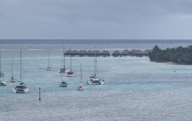 PXL_20260609_213344618.jpg