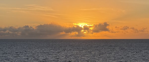 IMG_2658.JPG