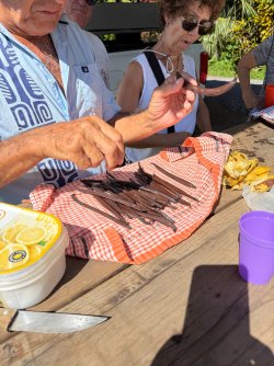IMG_2713.JPG