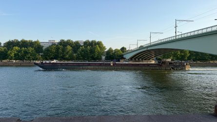 IMG_0388.JPEG IMG_0388.JPEG