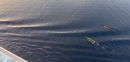 IMG_2770.JPG