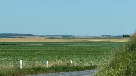 IMG_0503.JPEG