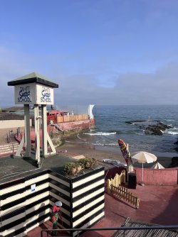 IMG_2110.jpeg
