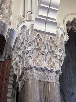 IMG_2118.jpeg