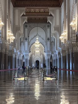 IMG_2120.jpeg