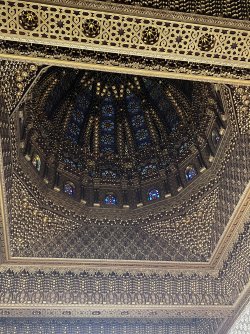 IMG_2132.jpeg