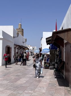 IMG_2140.jpeg