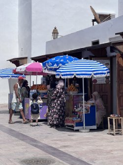 IMG_2141.jpeg