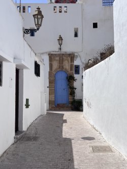 IMG_2143.jpeg