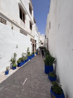 IMG_2144.jpeg