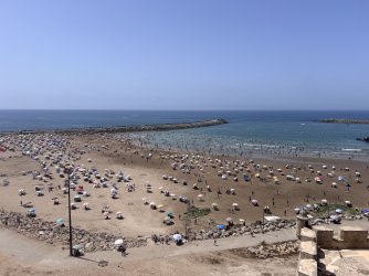 IMG_2147.jpeg