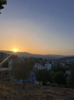 IMG_2156.jpeg