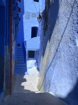IMG_2170.jpeg