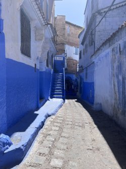 IMG_2171.jpeg