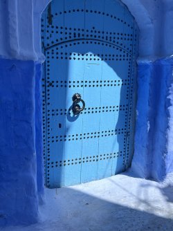 IMG_2174.jpeg
