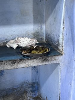IMG_2176.jpeg