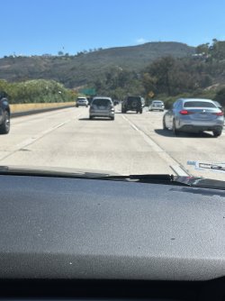 IMG_1806.jpeg