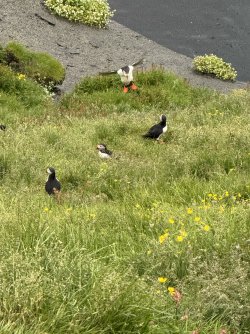 IMG_0922.jpeg