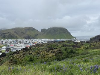 IMG_0927.jpeg