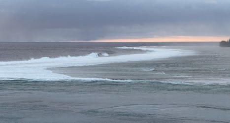 IMG_2907.JPG