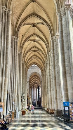 IMG_0541.JPEG