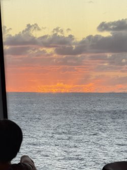 IMG_2952.JPG
