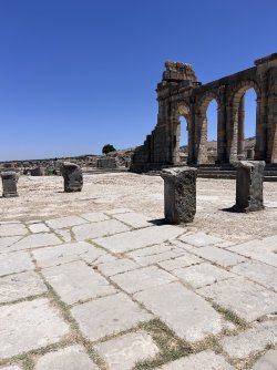 IMG_2271.jpeg