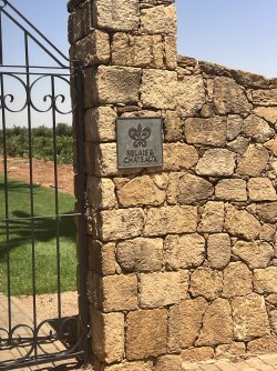 IMG_2295.jpeg