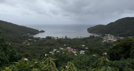 IMG_3050.JPG