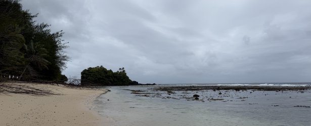 IMG_3054.JPG