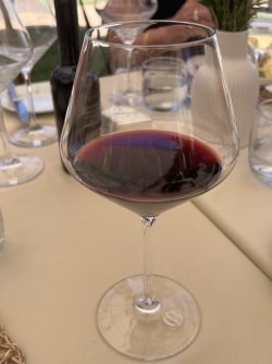 IMG_2311.jpeg