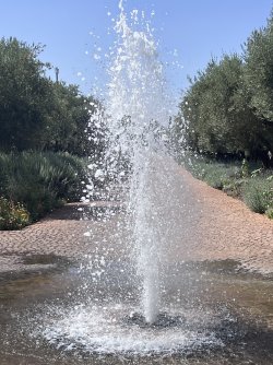 IMG_2319.jpeg