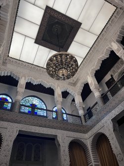 IMG_2321.jpeg