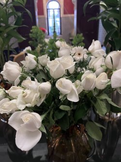 IMG_2324.jpeg