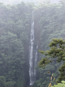IMG_3163.JPG IMG_3163.JPG