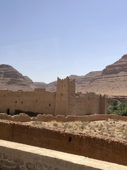 IMG_2485.jpeg