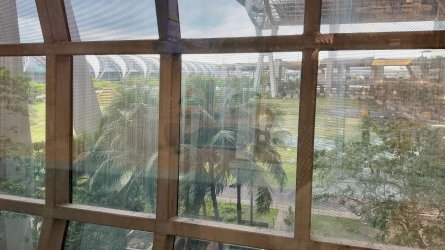 IMG_0897.JPEG