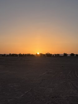 IMG_2598.jpeg