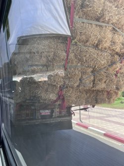 IMG_2462.jpeg IMG_2462.jpeg