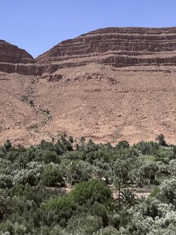 IMG_2488.jpeg
