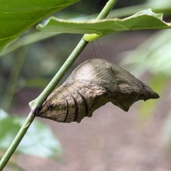 IMG_3286.JPG