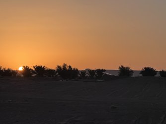 IMG_2596.jpeg