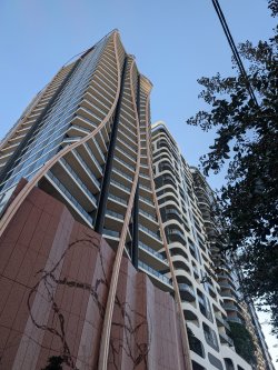 PXL_20260623_054426196.jpg