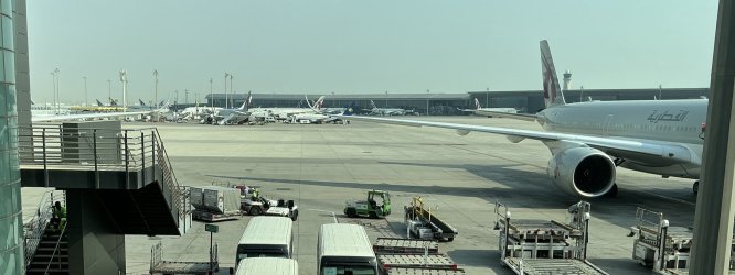 IMG_5079.jpeg IMG_5079.jpeg
