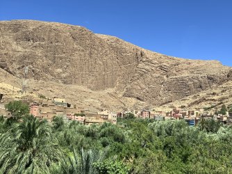 IMG_2644.jpeg