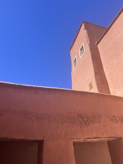 IMG_2647.jpeg