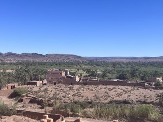 IMG_2648.jpeg